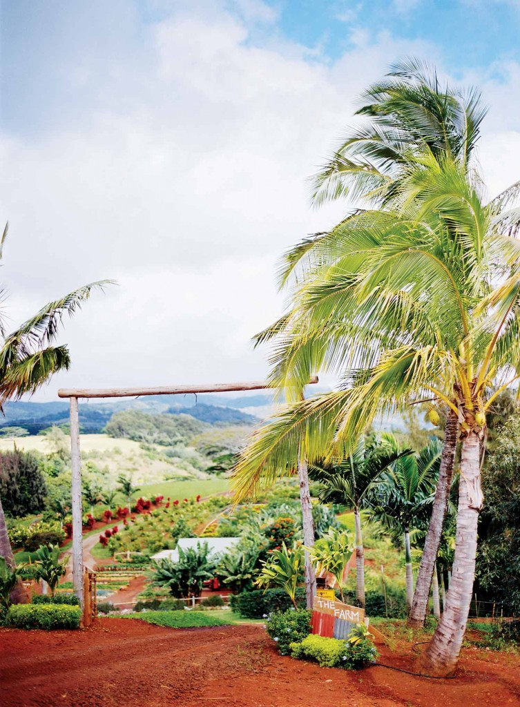 Kukui'ula organic community farm.