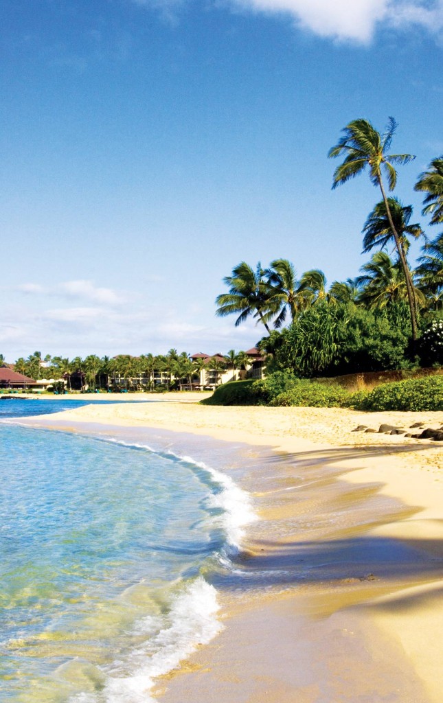 Shoreline of Kauai