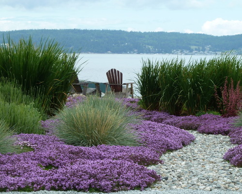 Ornamental Grasses That Thrive in Coastal Gardens - Ocean Home magazine